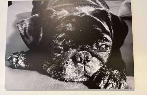 Holiday Home Tiny Haus Paul by Interhome - Foto 10