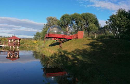 Agroturystyka Siedlisko pod dębami - Foto 13