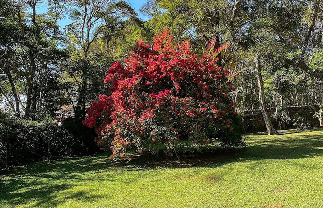 Chácara Espetacular em Ibiúna - Photo 37