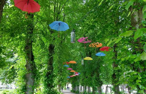 FeWo Dreiseitenblick - Foto 46