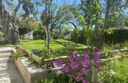 B&B Case Vacanza Orchidea marina di Macchia a Mattinata Gargano - Foto 10