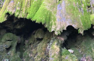 Gîte Tanagra : Maison avec piscine et vue exceptionnelle - Foto 52