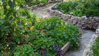 Rush River Cottage & Gardens - Foto 3