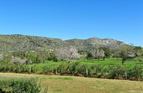 Finca Hotel Ses Cases Noves - Foto 98