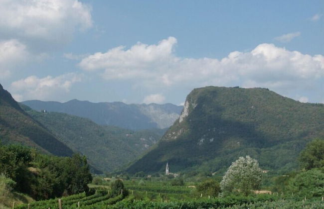 Agriturismo Al Vecchio Portico - Photo 72