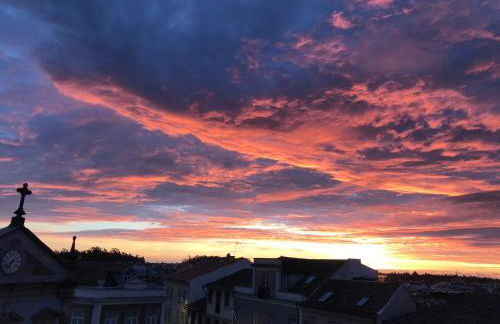 ImoWeMo OVAR - Ovarinha Girassol - Foto 26