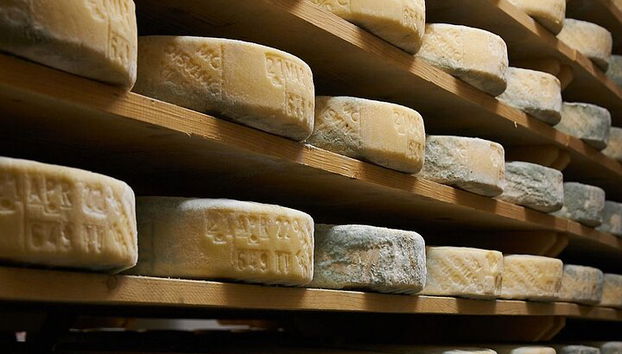 Tour de Quesos y Gins Todo Incluido en las colinas del Prosecco. - Foto 3