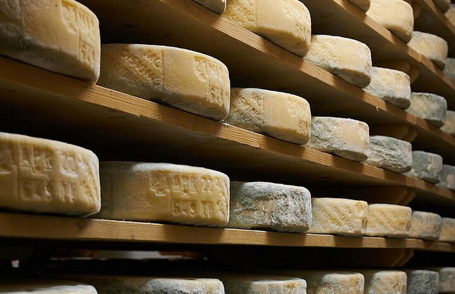 Tour de Quesos y Gins Todo Incluido en las colinas del Prosecco. - Foto 3