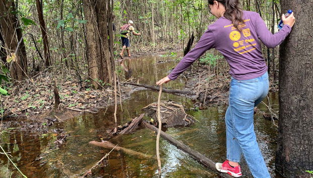 Tour della foresta amazzonica