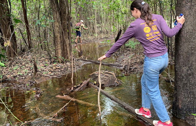 Tour di 2 giorni nella foresta amazzonica - Foto 3