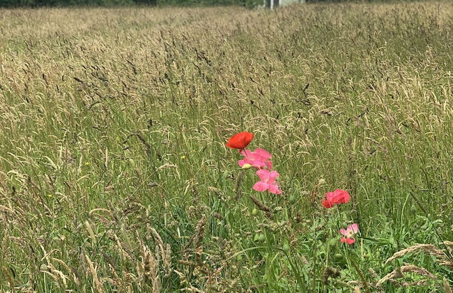 Hillcrest Hut - Foto 10