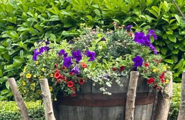 TJ’s Cottage - Foto 27