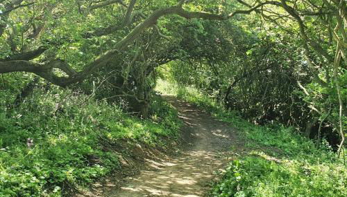 John James at The Bay, Filey - Foto 2