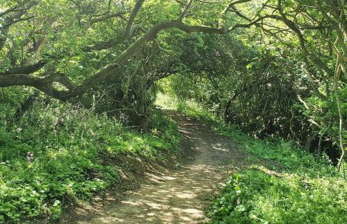 John James at The Bay, Filey - Foto 2