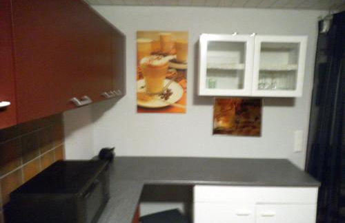 Exclusiv-Mietapartment (BDSM)-Heidelberg - Foto 30