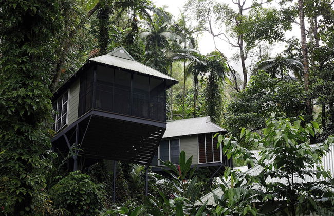 Daintree Ecolodge - Photo 54