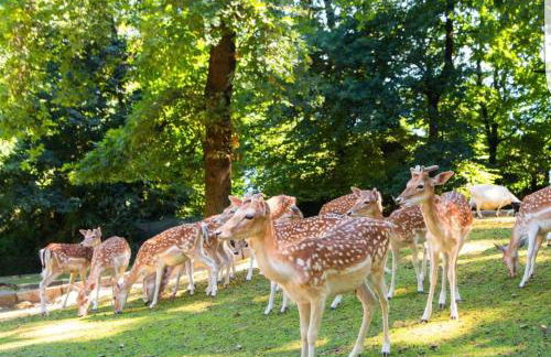 A Casa di Chiara 2 - Foto 6