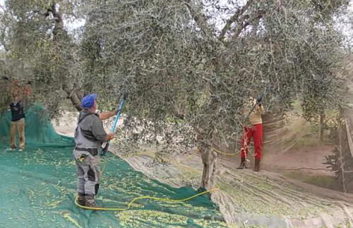 Agriturismo Vigna Mai - Foto 31