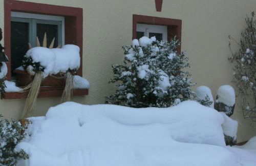 Terrace Apartment by the Zoo - Foto 16