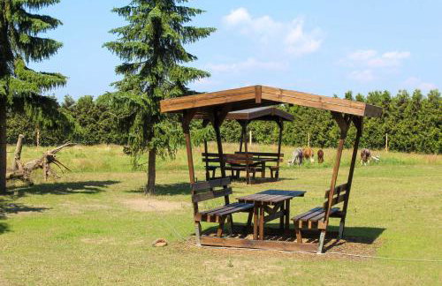 Ferienwohnung auf dem Alpaka-Hof - Foto 11