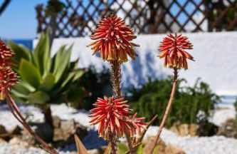 Sand Lily Villa Mykonos - Photo 68