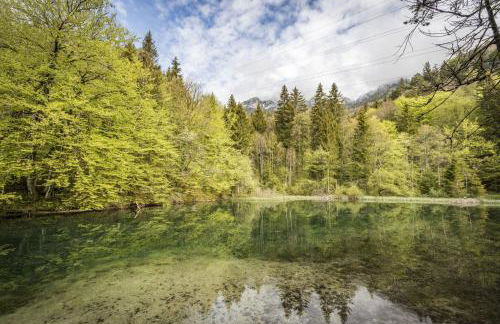 Galerie-Apartment am Kurgarten - Foto 38