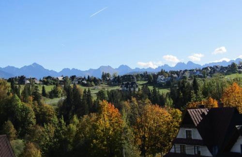 Apartament Góralski Duet 8-osobowy - dwupoziomowy apartament na wyłączność - Foto 41