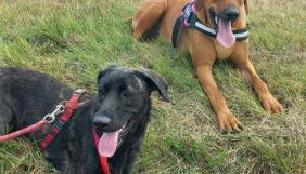 Aux couleurs de la terre d'oc - Foto 3