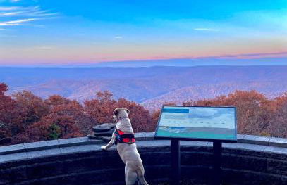 Blue Knob Bear Den (Nordic Center/Golf Course) - Foto 16