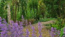 Sowi Dworek - Foto 5