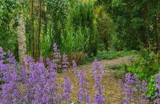 Sowi Dworek - Foto 5