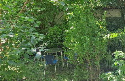 Wohnung Medicus, 3 ZKB, Balkon, Garten, nähe Stadtpark, ruhig - Foto 11