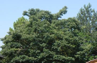 Caterina Residence - Foto 49