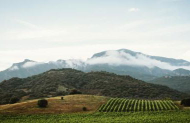 Auberge Santu Martine: Cottage with Pool (Manca) - Foto 62