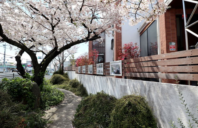 Danro no yado Concept House Hoshida - Foto 45