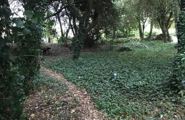 Cabaña de ensueño en el bosque y junto al mar - Foto 6