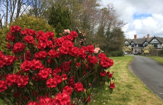 Upper Lake Chalet , Dog and Pet Friendly - Photo 12