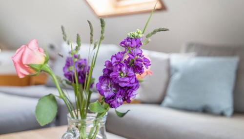 Ferienhaus Herich - Foto 3