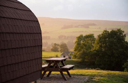 Wild Northumberland Glamping - Foto 13