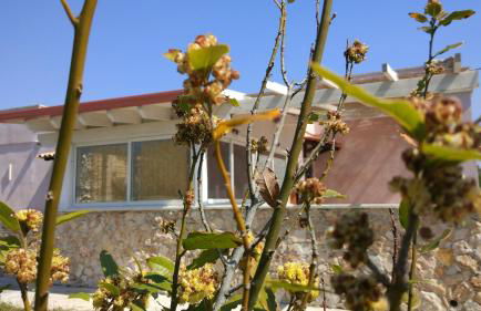 AlliPatuli Apartments - Foto 58