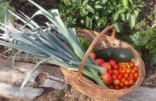 Casa Das Palmeiras-Pedagogic Farm - Foto 66