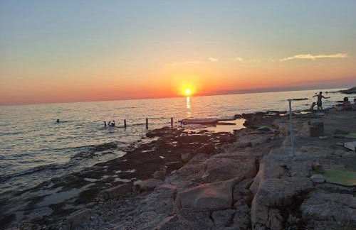 Apartments Oleander Lovrečica-residence with pool - Photo 71