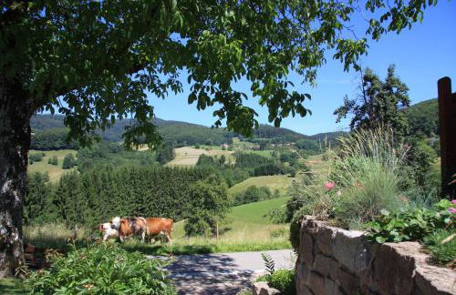 Ferienwohnung 'auf dem Burstel' - Photo 17