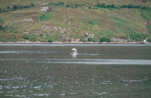 Market Stance - Photo 36