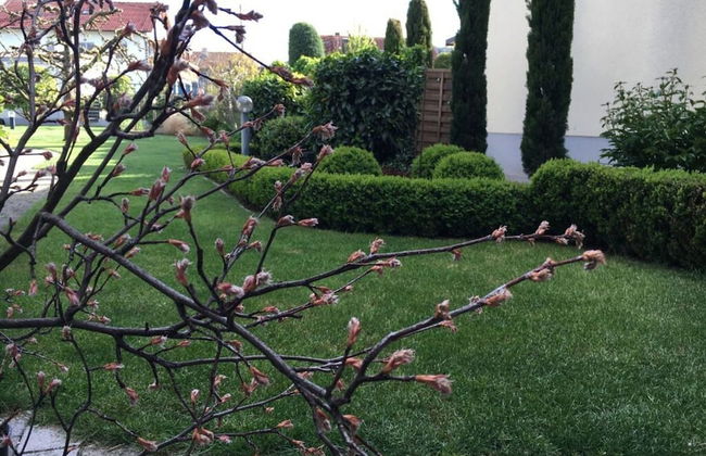 Apartment in Sasbach - Jechtingen - Foto 11