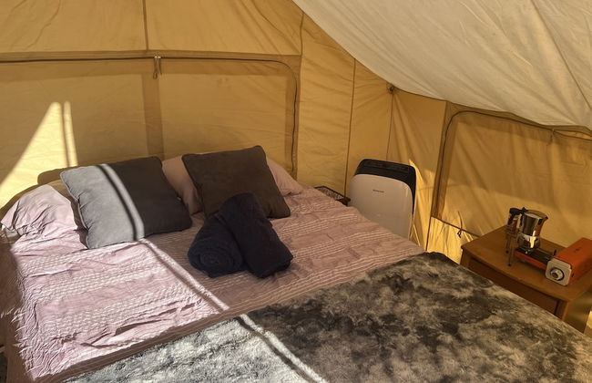 Ecovino Valle de Guadalupe - Foto 16