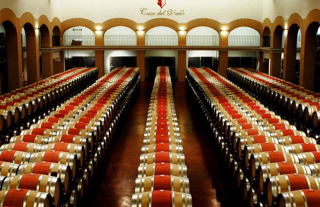 Visite des caves et vignobles de la Casa del Valle - Photo 1