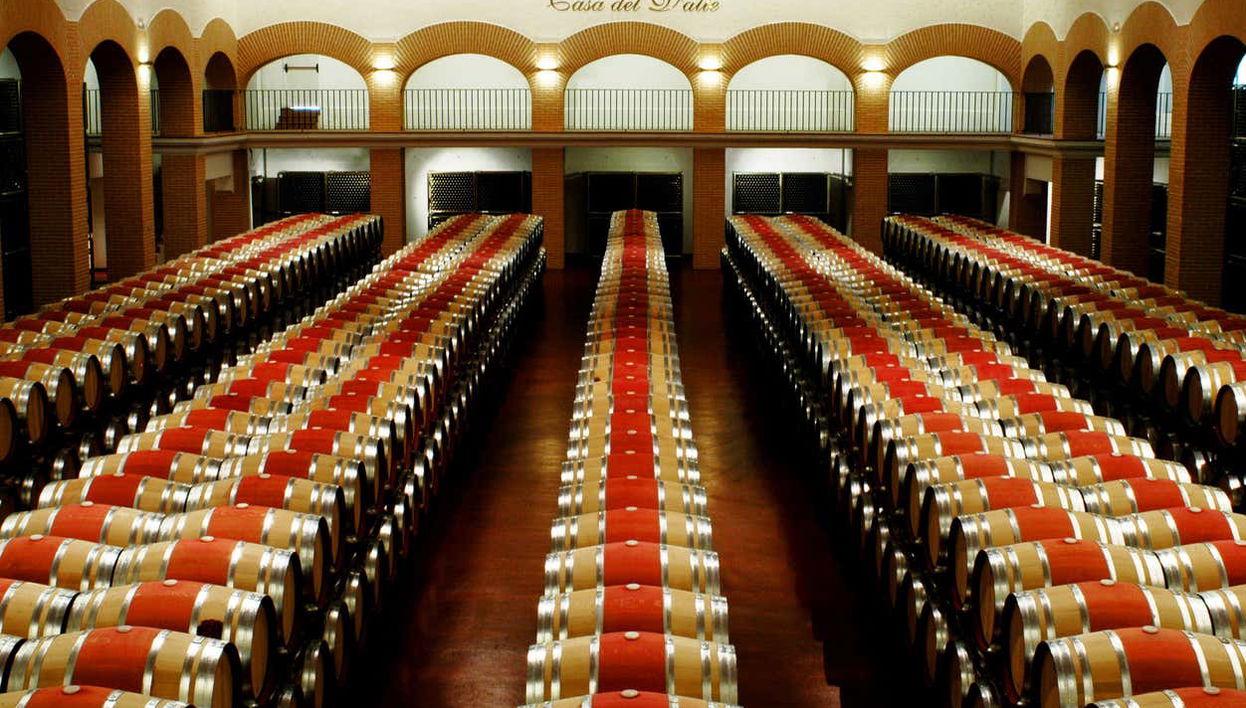 Salle des barriques de Casa del Valle