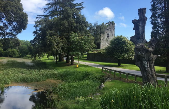 Castlemartyr Mews - Photo 40