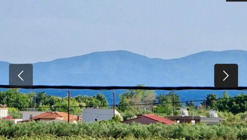 Villa Sophie - Photo 4